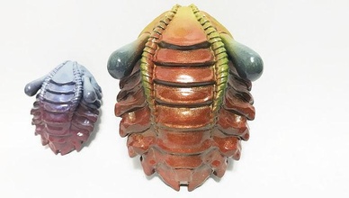 trilobit 3d druckbar fossil leben meer ozean schale prähistorisch dinosaurier käfer ausgestorben wirbellos modell 3dprint haus dekor 3d print model - Mito3D