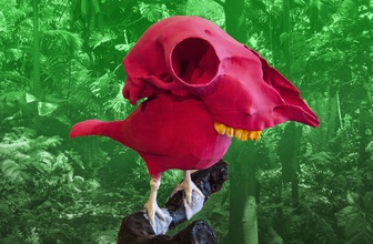 tropikull art el cráneo de aves estrella guerras diseño la diversión juguete los juguetes hueso sistema esqueleto loco mad hospitol humor idiota tonto estúpido tropical las esculturas 3d print model - Mito3D