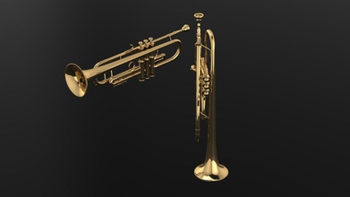 trumpet 089 jewelry gold silver white music jazz orchestra musical instrument other 3d print model - Mito3D