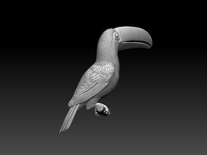 tucan tucán pájaro aves impresión estatua escultura highpoly arte esculturas 3d print model - Mito3D