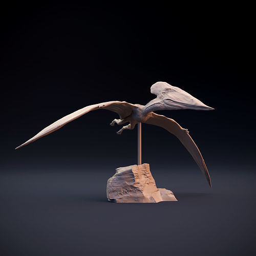 tupuxuara flying animal beast bird creature dino dinosaur figure jurassic lizard nature reptile miniature sculptures prehistoric dnd extinct avian pterosaur art 3D print model - Mito3D