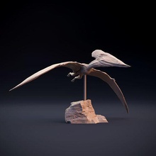 misurazione volare animale bestia uccello creatura dino dinosauro figura giurassico lucertola natura rettile miniatura sculture preistorico dnd estinto aviaria pterosauro arte 3d print model - Mito3D