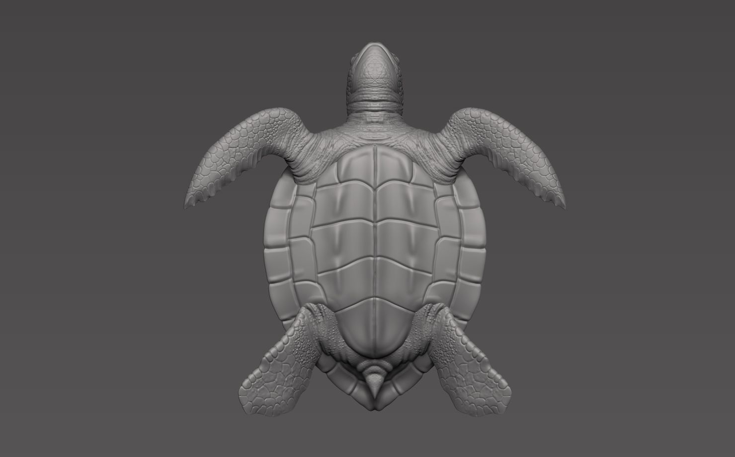 tartaruga mar natureza animal criatura escultura arte esculturas 3D print model - Mito3D