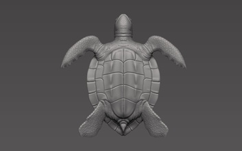 turtle nature animal creature sculpture art sculptures 3d print model - Mito3D