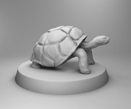 tortue plage sauvage animal zoo océan mer nature 3dprinting 3dprintmodel science biologie 3d print model - Mito3D