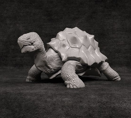 turtle - presupported creature dinosaur fantasy lizard rpg shell lotr tabletop tortoise dungeon dnd iguana reptail galapago boardgames mmo roll mmorpg dragon art sculptures 3D print model - Mito3D