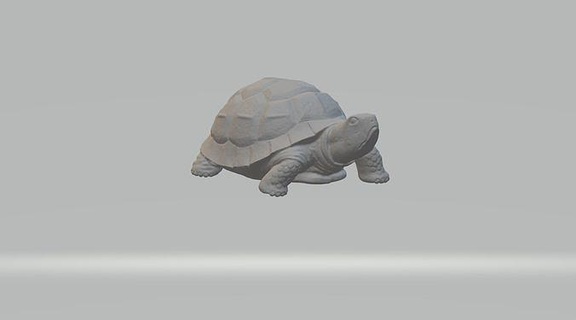 tartaruga 3d modello rettile sott'acqua natura oceano mare spiaggia animale creatura scultura animali arte sculture 3d print model - Mito3D