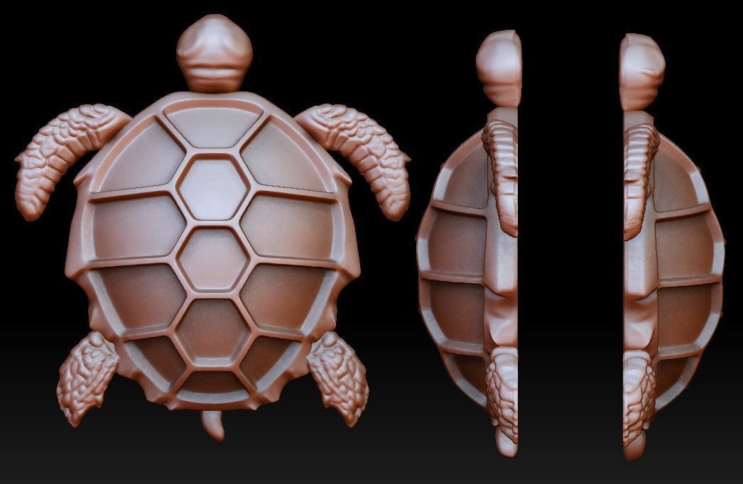 turtle pendant jewelry nature animal 3dmodel 3dprinting jewellery ring shell sea ocean creature pendants 3D print model - Mito3D