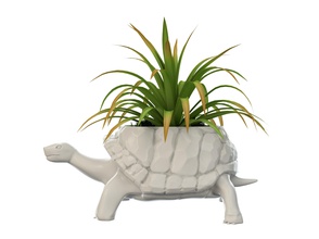 turtle vase plant nature pot forest house accessories 3d print model - Mito3D