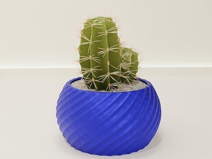 torsion pot titulaire soutien 75 cactus flore fleur forme abstrait bol vase succulent plante articles ménagers vaisselle décor botanique jardinage vert maison drainer d'appartement 3d print model - Mito3D