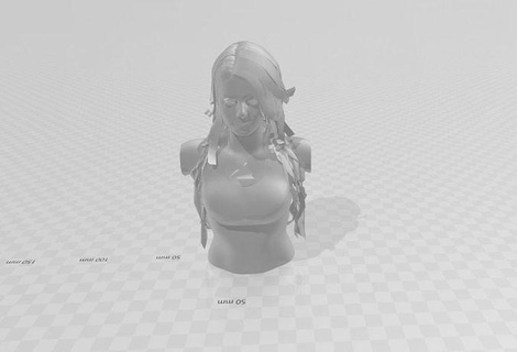 Alexa mutluluk büstler wwe güreş kız KADIN bükülmüş güreşçi Sanat heykeller heykel 3d print model - Mito3D