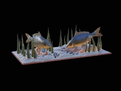 sazan manzara su 3d Yazdır detaylı doku totem levrek zander Dorado kedi balığı turna bas alabalık Tuna Somon balık Balık tutma cezbetmek yem heykel deniz hayvan dekorasyon Köpekbalığı Sanat heykeller 3d print model - Mito3D