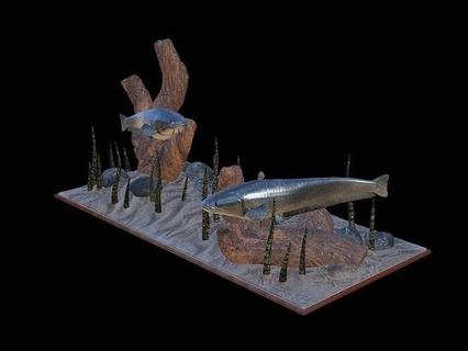 kedi balığı manzara su 3d Yazdır totem levrek zander Dorado sazan turna bas alabalık Tuna Somon balık Balık tutma cezbetmek yem heykel hayvan dekorasyon Köpekbalığı yayın Sanat heykeller 3d print model - Mito3D