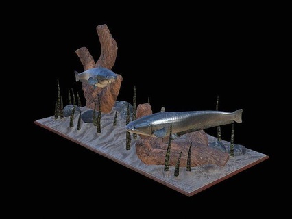 two catfish scenery underwather 3d print totem perch zander dorado carp pike bass trout tuna salmon fish fishing lure bait statue animal decoration shark sumec art sculptures 3d print model - Mito3D