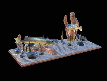 two pike scenery underwather 3d print totem perch zander dorado carp catfish bass trout tuna salmon fish fishing lure bait statue sea animal decoration shark art sculptures 3d print model - Mito3D