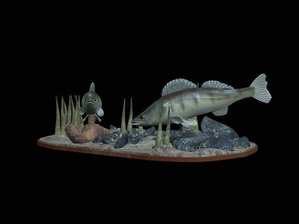 zander manzara su 3d Yazdır detaylı doku totem levrek Dorado sazan kedi balığı turna bas alabalık Tuna Somon balık Balık tutma cezbetmek yem heykel deniz hayvan dekorasyon Köpekbalığı Sanat heykeller 3d print model - Mito3D
