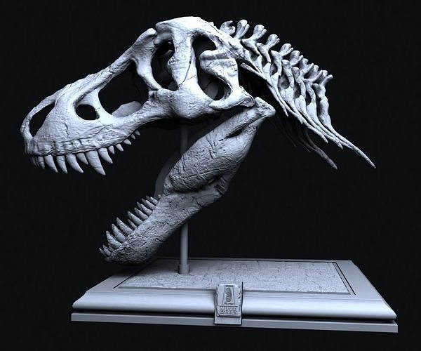 tiranossauro rex dinossauro fera natureza pré histórico extinto paleontologia predador animais selvagens tirano garra iguana acrocantossauro criatura Amargasaurus Arambourgiania jurássico Ciência 3D print model - Mito3D