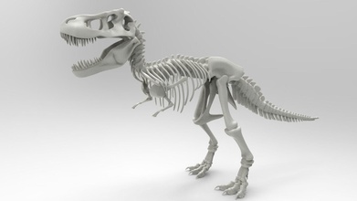 tyrannosaure rex squelette dinosaure 3d impression imprimable os monstre bête créature jurassique parc crétacé préhistorique animaux lizzards science biologie 3d print model - Mito3D