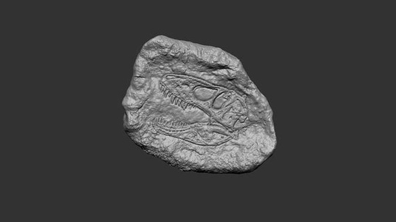 tirannosauro minerale fossile rex realistico stampabile dinosauro testa roccia vecchio vero portachiavi osso giurassico storico animale creatura archeologia scienza arte 3d print model - Mito3D