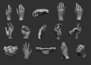 ultimate hand set art hand anatomy fingers human extremities nails arms body hands art sculptures