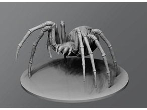 Untote spide einfarbig Mädchen Kunst Spinne Krabbe Krebstiere Tier Bild wirbellos Schaltier Geiger Natur weiblich Spinnentier Garnele Schale Fehler Wissenschaft Biologie 3d print model - Mito3D