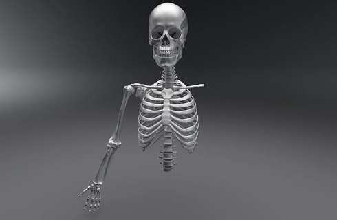 Superior esqueleto articulado anatomía cuerpo esquelético humano médico preciso sistema escanear réplica Ciencias biología cráneo chistoso costilla jaula columna vertebral escápula radio 3d print model - Mito3D