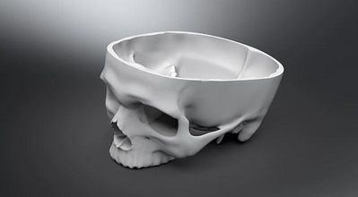 upper skull cut human science anatomy skeleton bone medical biology osteology crossetion replica 3d print model - Mito3D