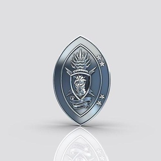 uss pioneer gold sculpture 3d model cnc hand ribbon badge coat arms art coins badges 3d print model - Mito3D
