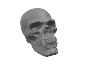 vampire skull art scann 3d 3dprintable scans replicas 3d print model - Mito3D