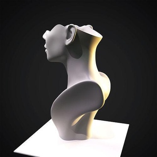 florero muchachas cara niña mujer cabeza maceta decoración flor estatua Arte esculturas 3dprint elegancia gracia imprimible 3d print model - Mito3D