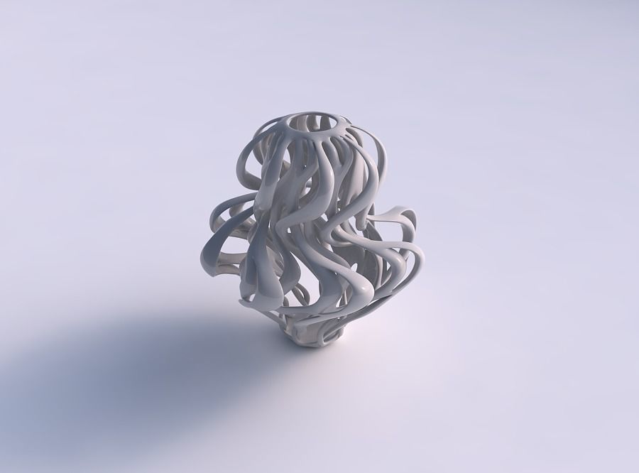 vaso curva galhos retorcidos torcida espremido a casa curvo os ramos decoração 3D print model - Mito3D