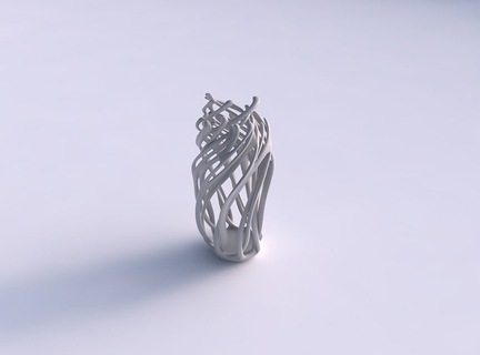 Vase deformiert 2 verdrehte Geäst Exzenter Haus Dekor 3d print model - Mito3D