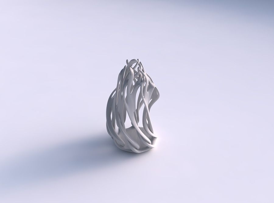 vase deformiert 2 verdrehte geäst gedehnt haus dekor 3D print model - Mito3D