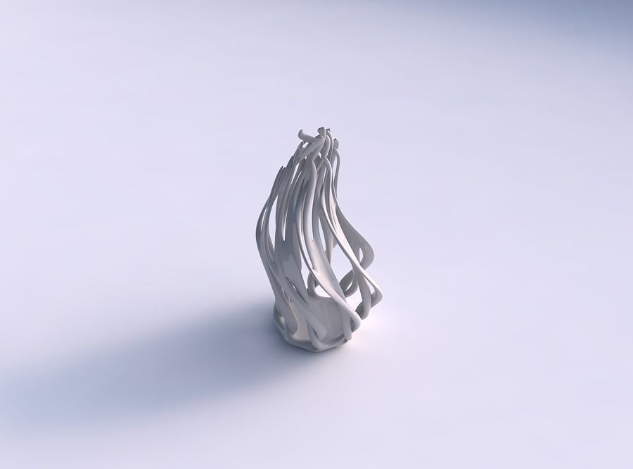 vaso deformata alti rami contorti twisted allungate in alto casa il di altezza i top arredamento 3D print model - Mito3D