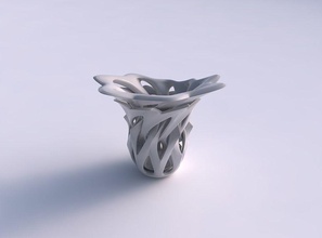 vase double rose spikes Kreuzung durch Schnitte zu exzentrisch Haus Doppel Exzenter Dekor 3d print model - Mito3D
