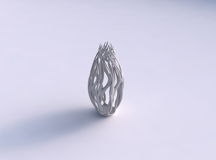 vaso oval torcido ramos longo pescoço casa decoração 3d print model - Mito3D