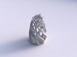 vase oval gedrehten Zweigen verdreht, gestreckt oben Haus twisted Niederlassungen top Dekor 3d print model - Mito3D