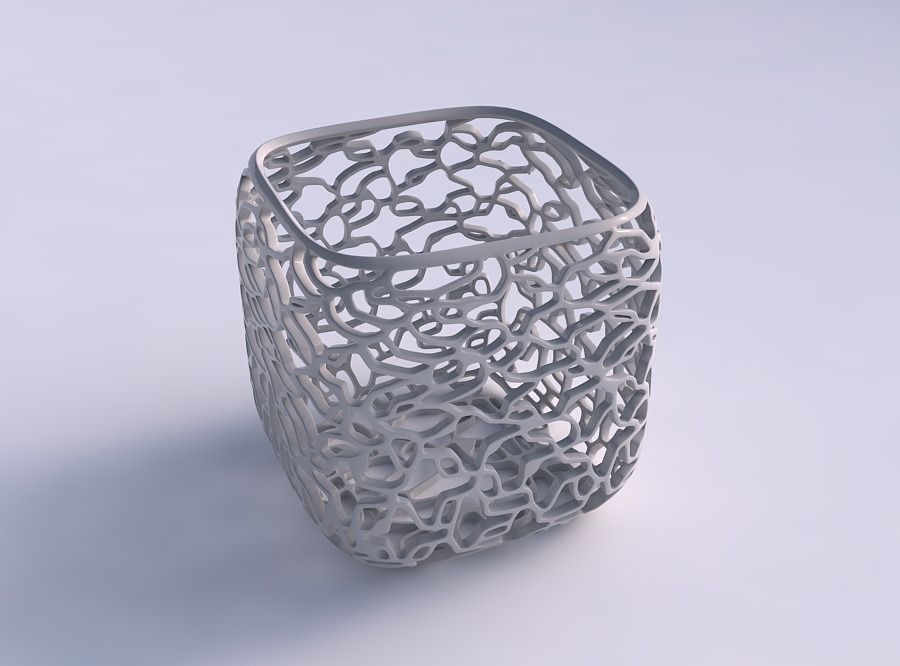 vase quadratic stumpy entangled lattice house decor 3D print model - Mito3D