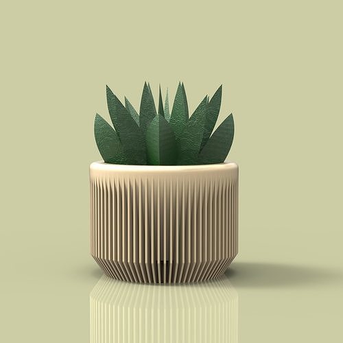 vaso succulenta pianta 3d stampa decorazione Casa arredamento 3D print model - Mito3D