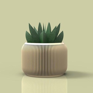 Vase saftig Pflanze 3d Drucken Dekoration Haus Dekor 3d print model - Mito3D