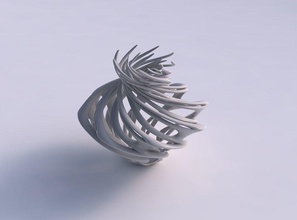 vaso largo metà wth contorto rami spremuto Casa arredamento 3d print model - Mito3D