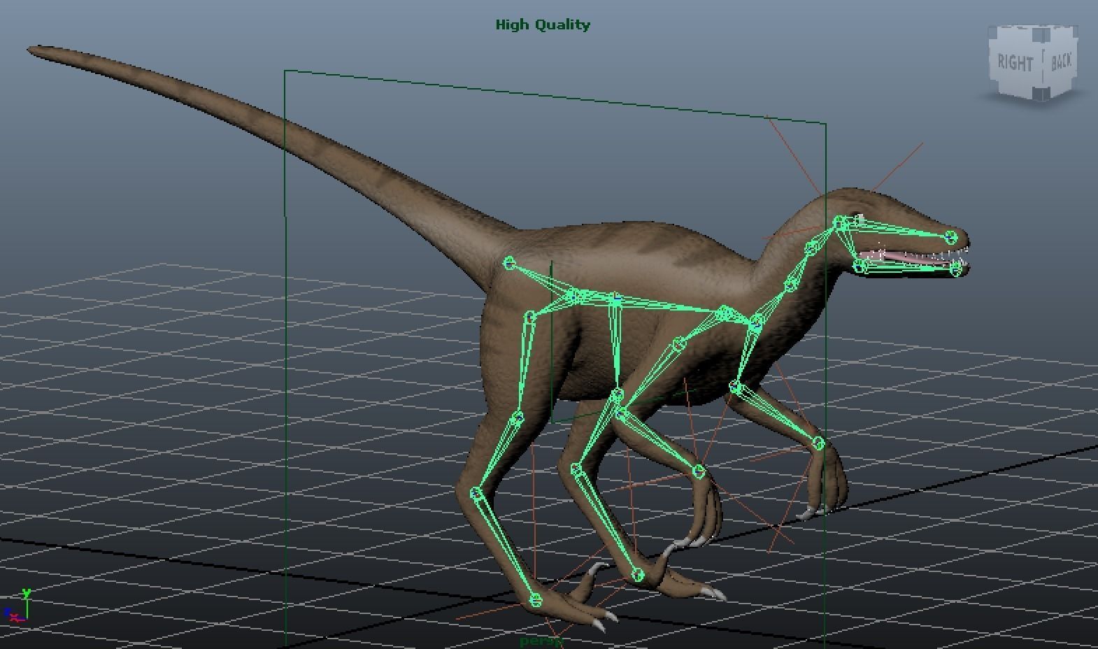 velociraptor la science raptor les dinosaures dinosaure jurassique truqué mappé de biologie 3D print model - Mito3D