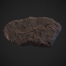 velociraptor fóssil 3dprintable 3dprinting pedra dinossauro Ciência biologia 3d print model - Mito3D