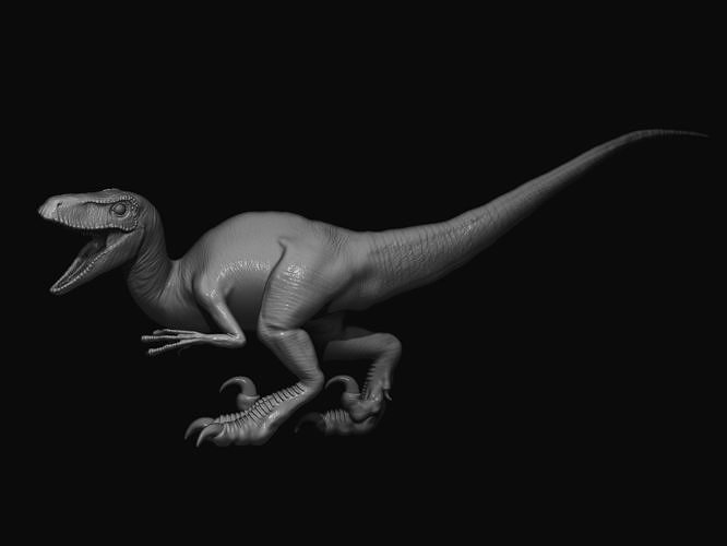 vélociraptor sculpter dinosaure animal créature monstre reptile lézard préhistorique jurassique nature tyrannosaure rex fossile paléontologie rapace dragon art sculptures 3D print model - Mito3D