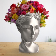 vénus tête planteur l'amour fleur botanique mode nature femme art rose bouquet arbuste chrysanthème pensée paradis maison décor 3d print model - Mito3D