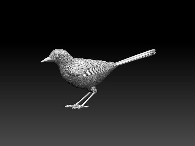 kuyruksallayan serçe saksağan baştankara şakrak kuşu kuş heykel Yazdır Sanat heykeller 3D print model - Mito3D