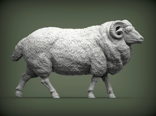 caminando ram naturaleza mamífero animal mascota escultura estatuilla recuerdo 3d impresión modelo esculpir arte esculturas leche granja mentiras oveja 3d print model - Mito3D