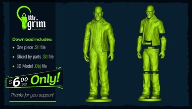 walter white walterwhite breakingbad character anatomy person man heisemberg body face art sculptures 3d print model - Mito3D