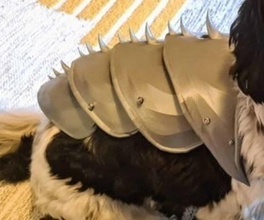 usable perro armadura seguridad cosplay víspera santos mascota gato aminal malvado tejido moda 3d print model - Mito3D
