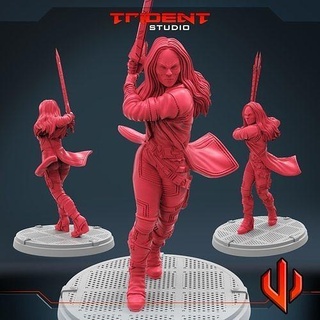 warlords daughter art toys hero sculpture tabletop games board 3d print model - Mito3D
